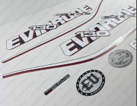 Evinrude 130HP E-tec 2009-2013 Blue Cowl Outboard Decal Kit